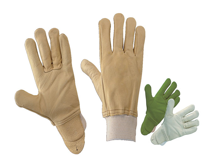 Glove 18