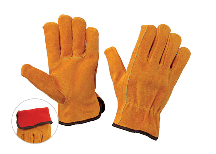 Glove 19